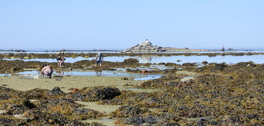 Pêche à pied Locarec