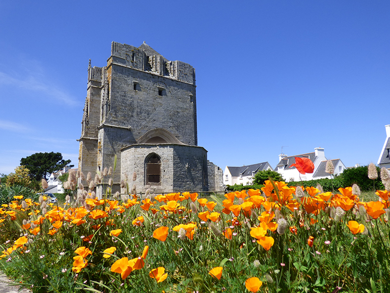 Visite guidée de la Tour Carrée