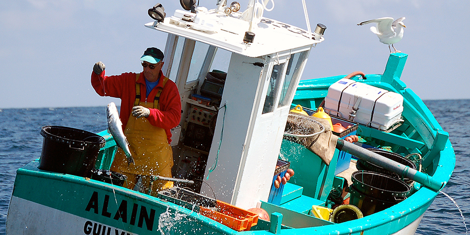 Bateau de pêche Alain